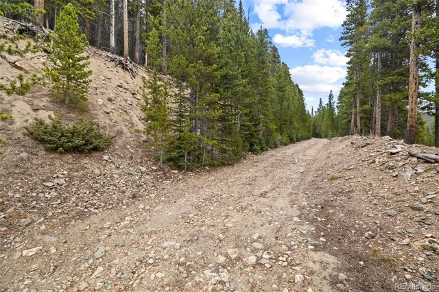 a view of a pathway with a tree