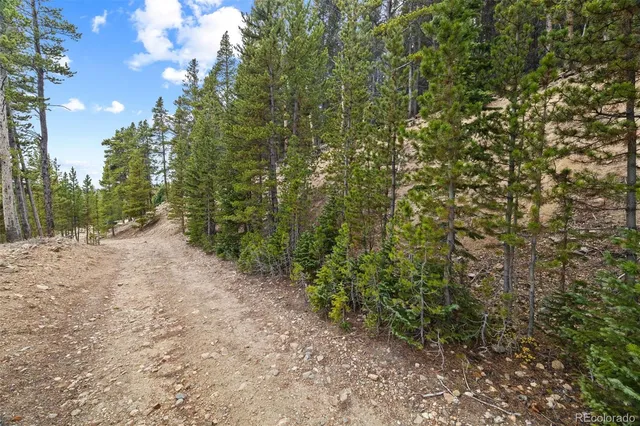 a close up of a plant in a garden