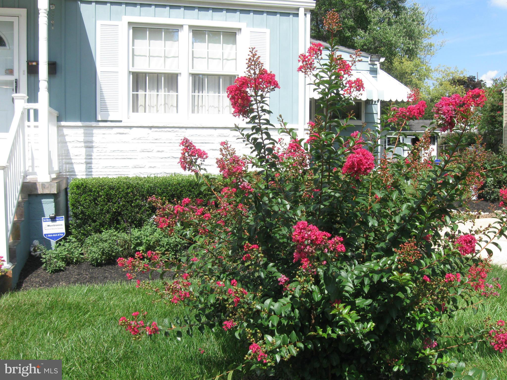 1620 Neely Road Silver Spring, MD 20903 - Photo 28 of 30 Lovely flower bushes