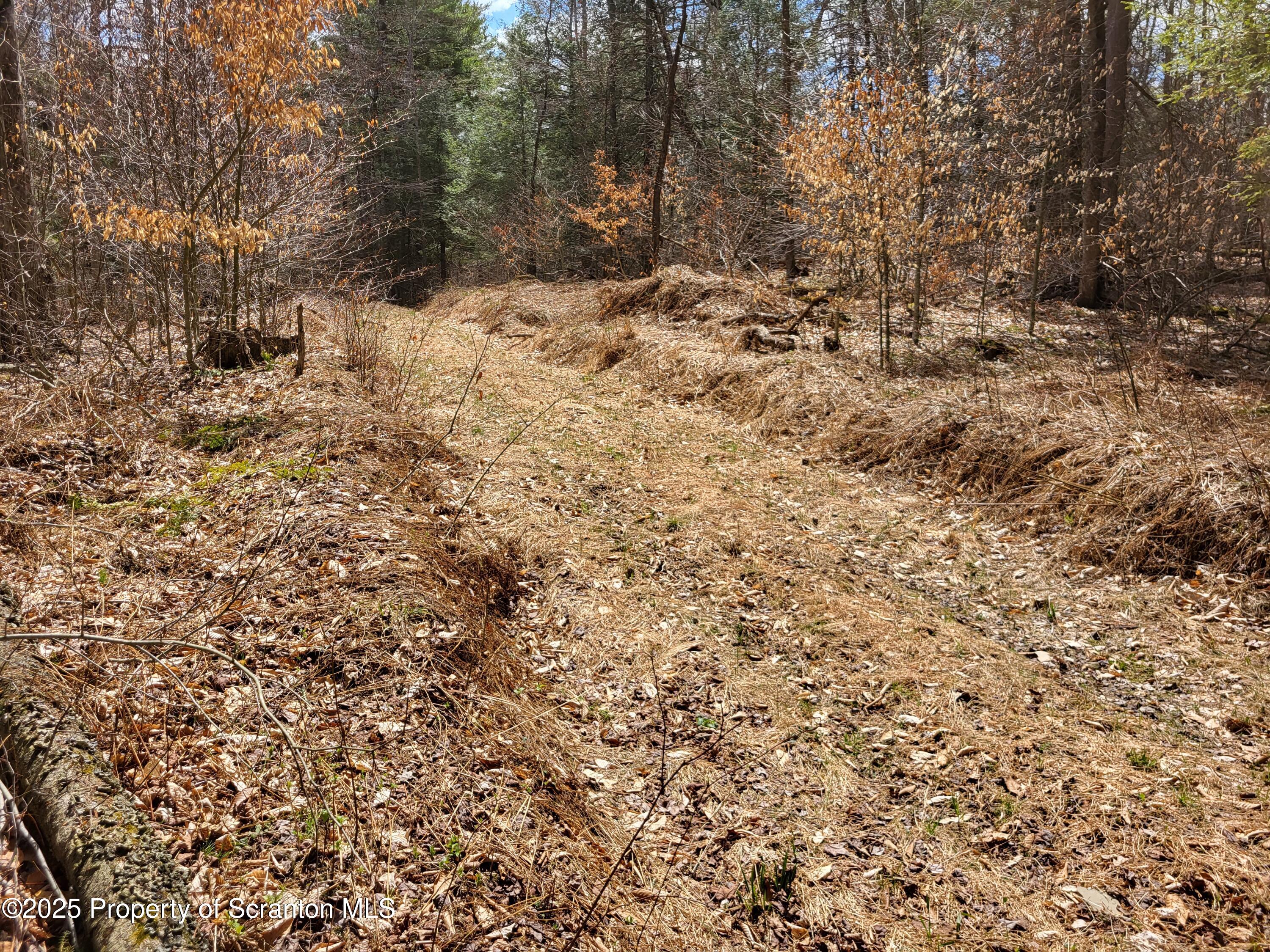 0 Heavey Road Friendsville, PA 18818 - Photo 14 of 16 20250424_131041