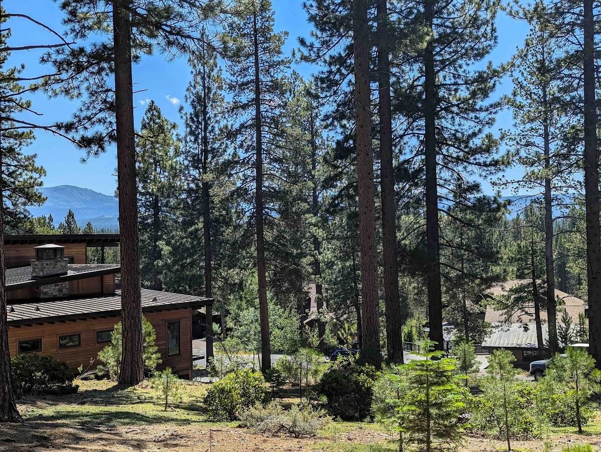 11360 Ghirard Road Truckee, CA 96161 - Photo 11 of 13 a view of a garden with a tree