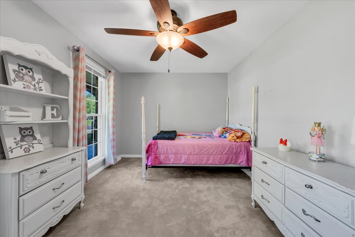 918 Shellie Drive Clarksville, TN 37043 - Photo 34 of 74