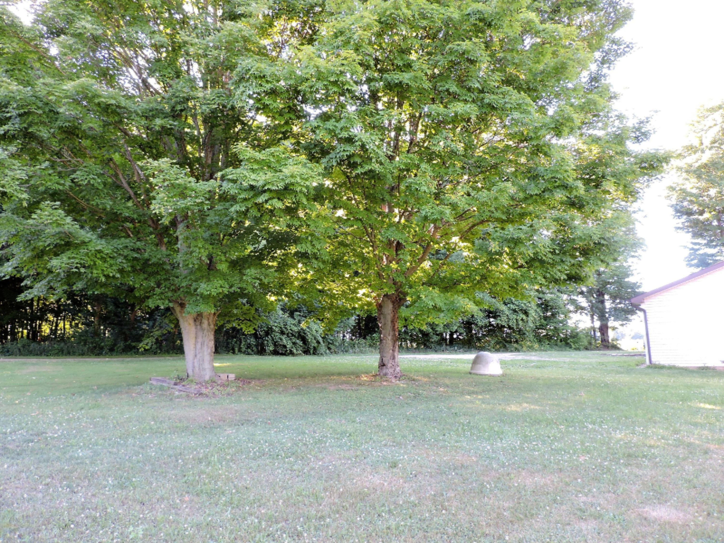 9150 Franklin Road Berrien Center, MI 49102 - Photo 47 of 48 DSCN0739