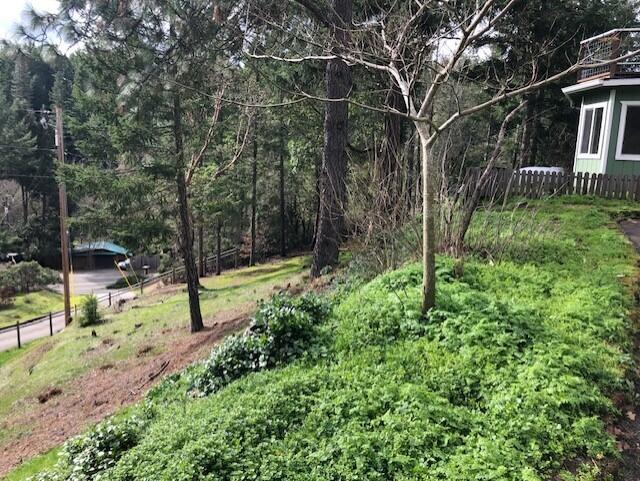 526 Slate Creek Road Wilderville, OR 97543 - Photo 63 of 67 Property around the home