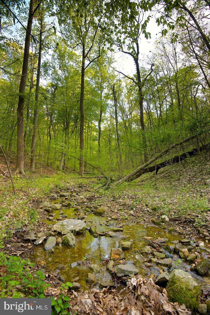 18429 Woodburn Road Leesburg, VA 20175 - Photo 81 of 82 Small creek on this lot