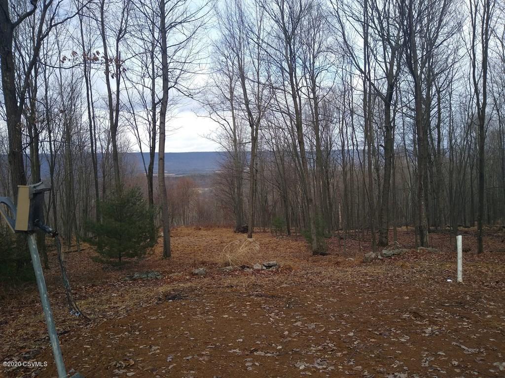 116 Lost Forest Road McClure, PA 17841 - Photo 8 of 18