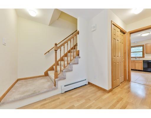 16 Holmes Road Dedham, MA 02026 - Photo 14 of 23 Gallery Image 14
