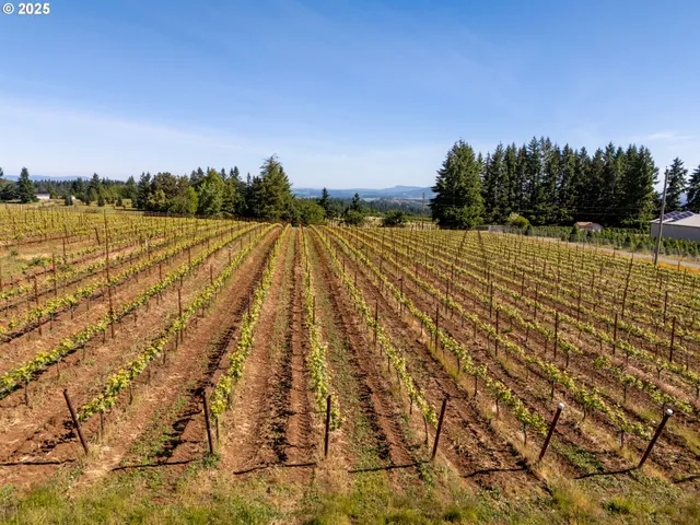 $1,590,000 | 20700 Southeast Cherry Blossom Lane, Amity, OR 97101