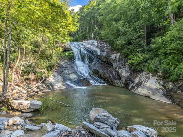 a view of a lake from a yard
