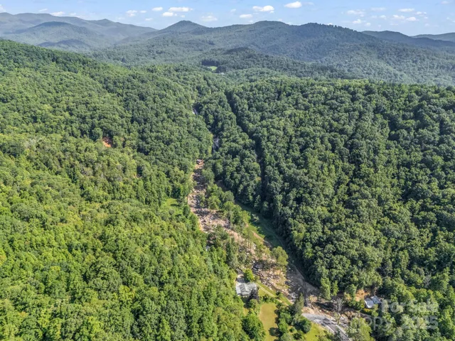 a view of a lush green forest with lush green forest