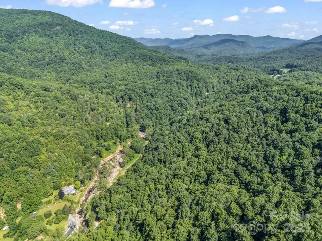 a view of a green field with lots of bushes