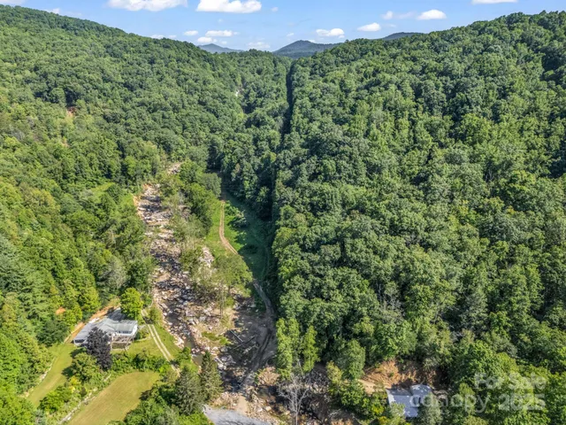 a view of a green yard