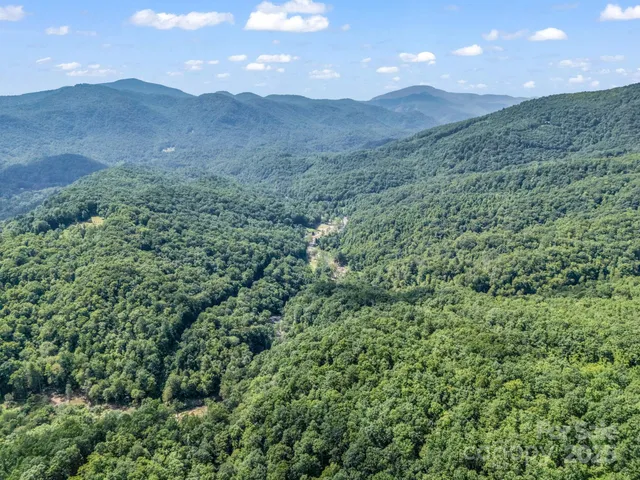 a view of a lush green hillside and a houses