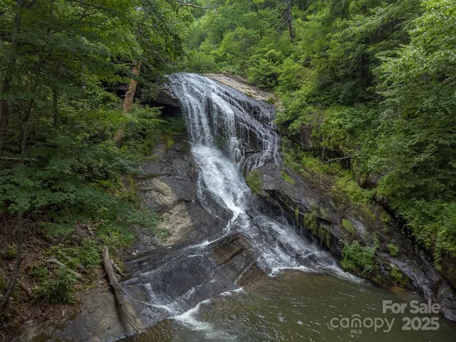 a view of a lake with a large trees