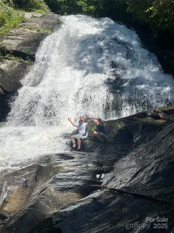a big yard with lots of plants
