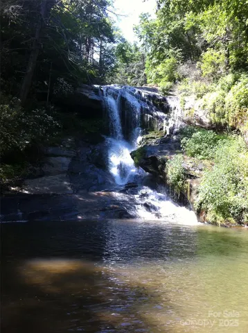 a view of a yard with trees