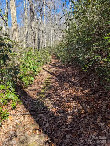 a view of a yard covered with snow
