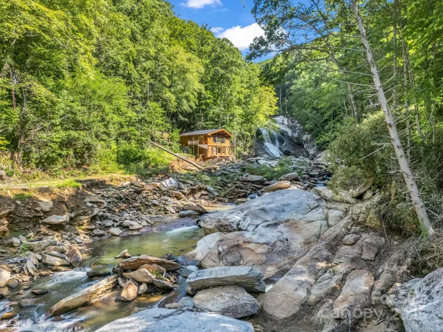 a backyard of a house with a yard and large tree