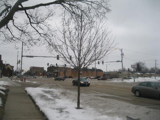 519 West State Street Sycamore, IL 60178 - Photo 15 of 16 a street view with large trees
