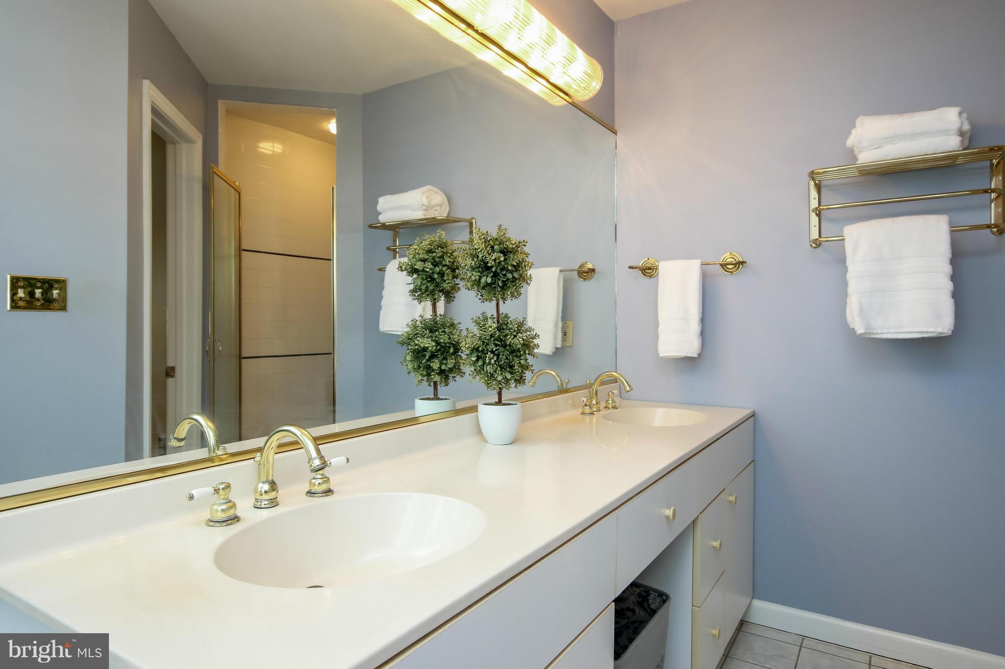 806 Kingston Road Baltimore, MD 21212 - Photo 20 of 30 Bath (Master)