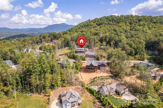 a view of a forest with a mountain