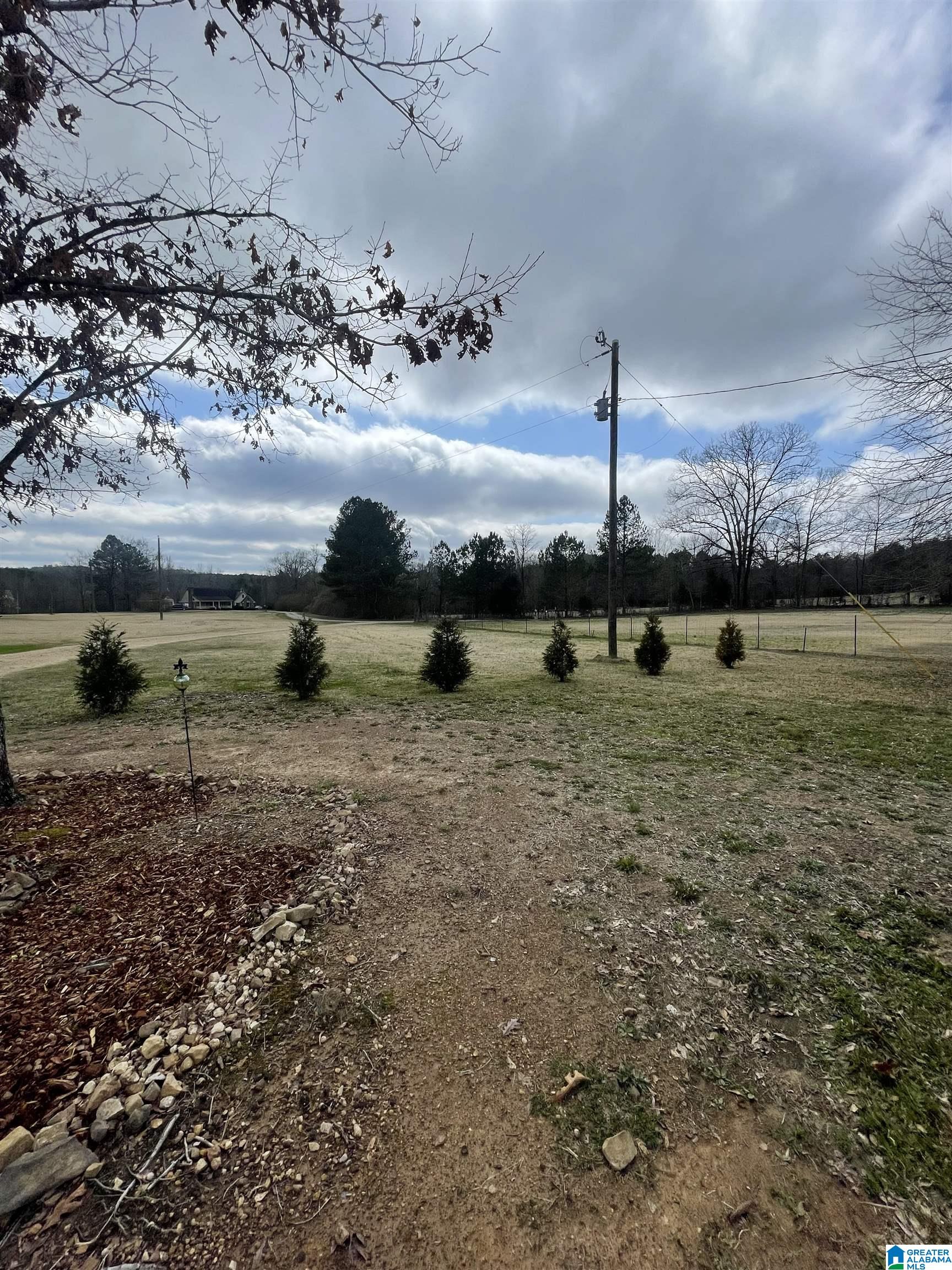 245 Old Eason Road Pell City, AL 35128 - Photo 3 of 22