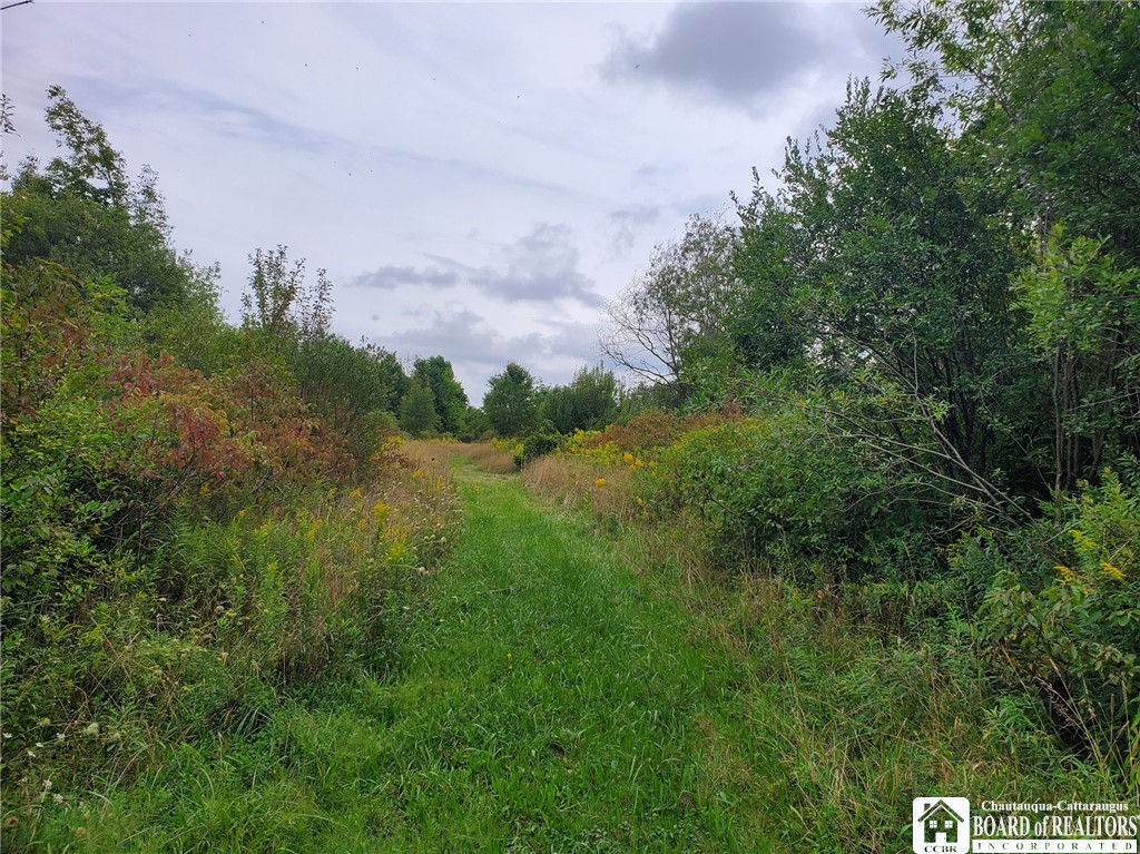 0 Wellman Road Ashville, NY 14710 - Photo 1 of 1 Gallery Image 1