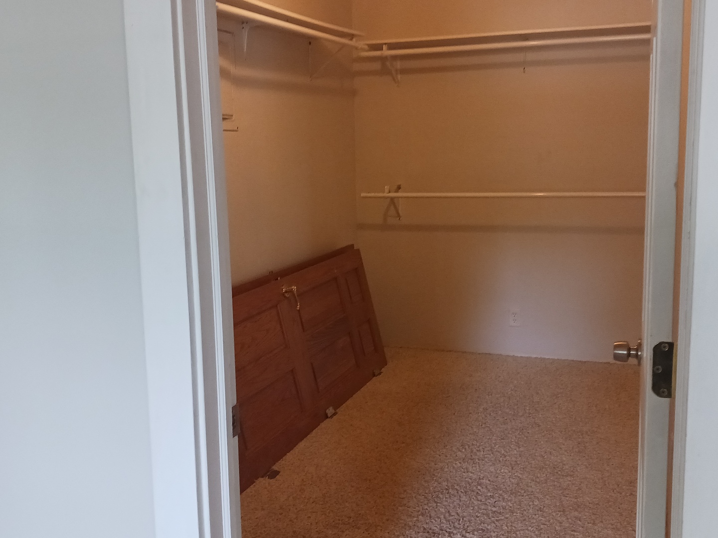 9 Southview Drive Sidney, IL 61877 - Photo 12 of 21 a view of closet