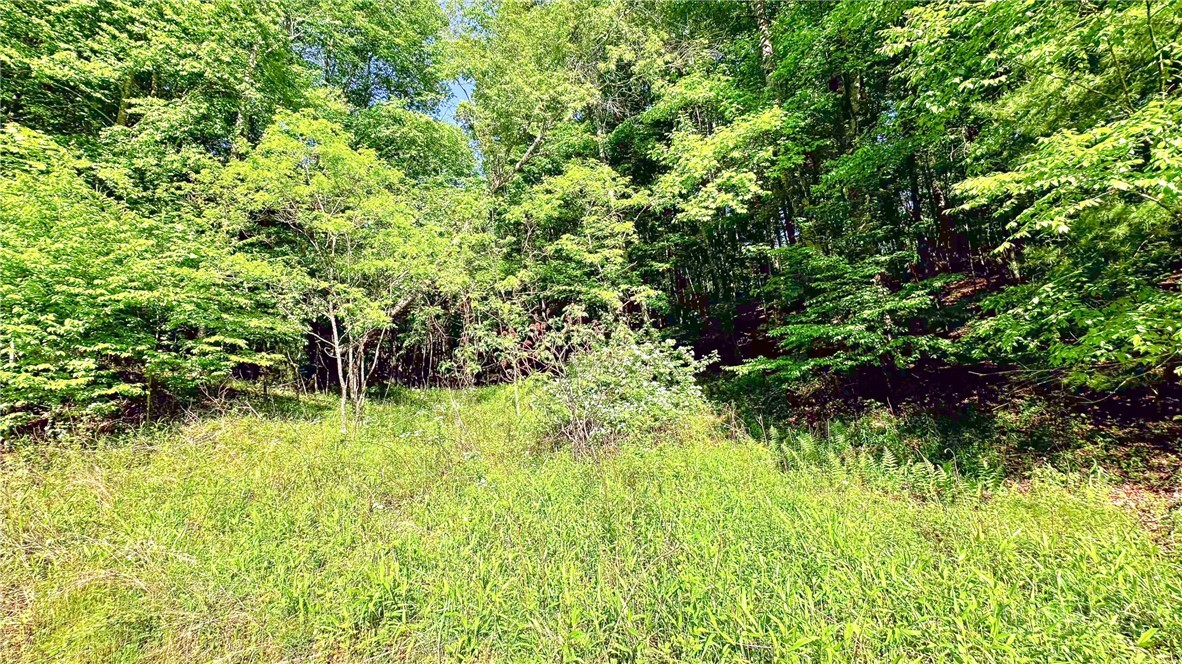 Tbd-13 Peck Peak Road Jefferson, NC 28640 - Photo 12 of 14