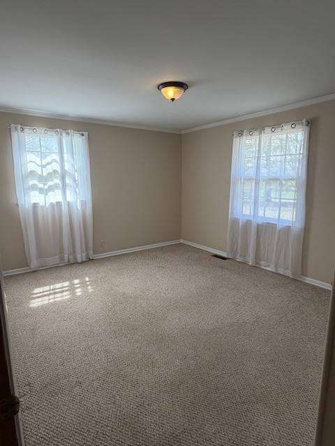 3509 Pinson School Road Springfield, TN 37172 - Photo 13 of 16