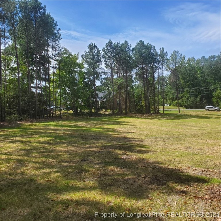 Tbd Lot 2 Tbd Road Raeford, NC 28376 - Photo 2 of 4 a view of a water fountain and a big yard