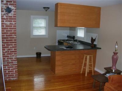 305 Indiana Street Porter, IN 46304 - Photo 3 of 10 398x298