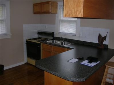 305 Indiana Street Porter, IN 46304 - Photo 7 of 10 398x298