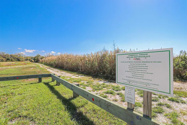 a view of a swimming pool with a yard