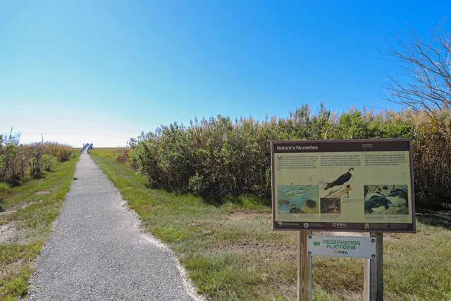 a view of a street from a garden