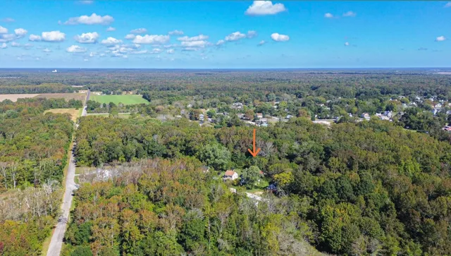 a view of a city with lots of green space