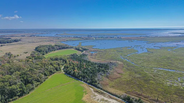 a view of a yard with an ocean