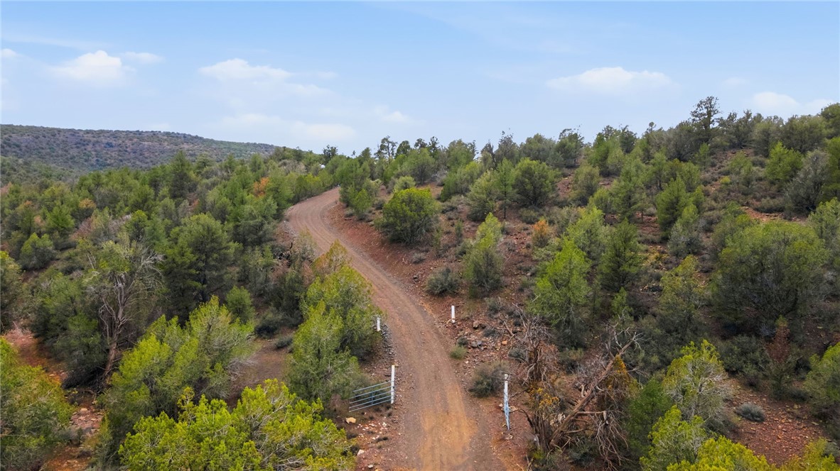 4619 North Lookout Canyon Road Kingman, AZ 86401 - Photo 46 of 50 a view of a city with lush green forest