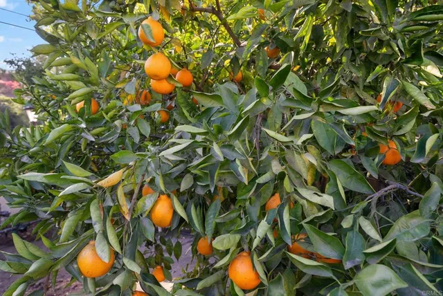 $4,990,000 | 10310 Fuerte Drive, La Mesa, CA 91941