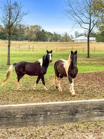 $1,190,000 | 228 Indian Creek Road, Locust Grove, GA 30248