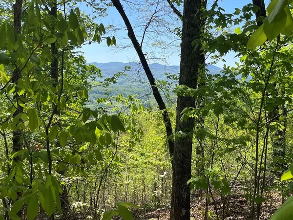 $42,000 | Lot 11 Ash Branch View, Hayesville, NC 28904