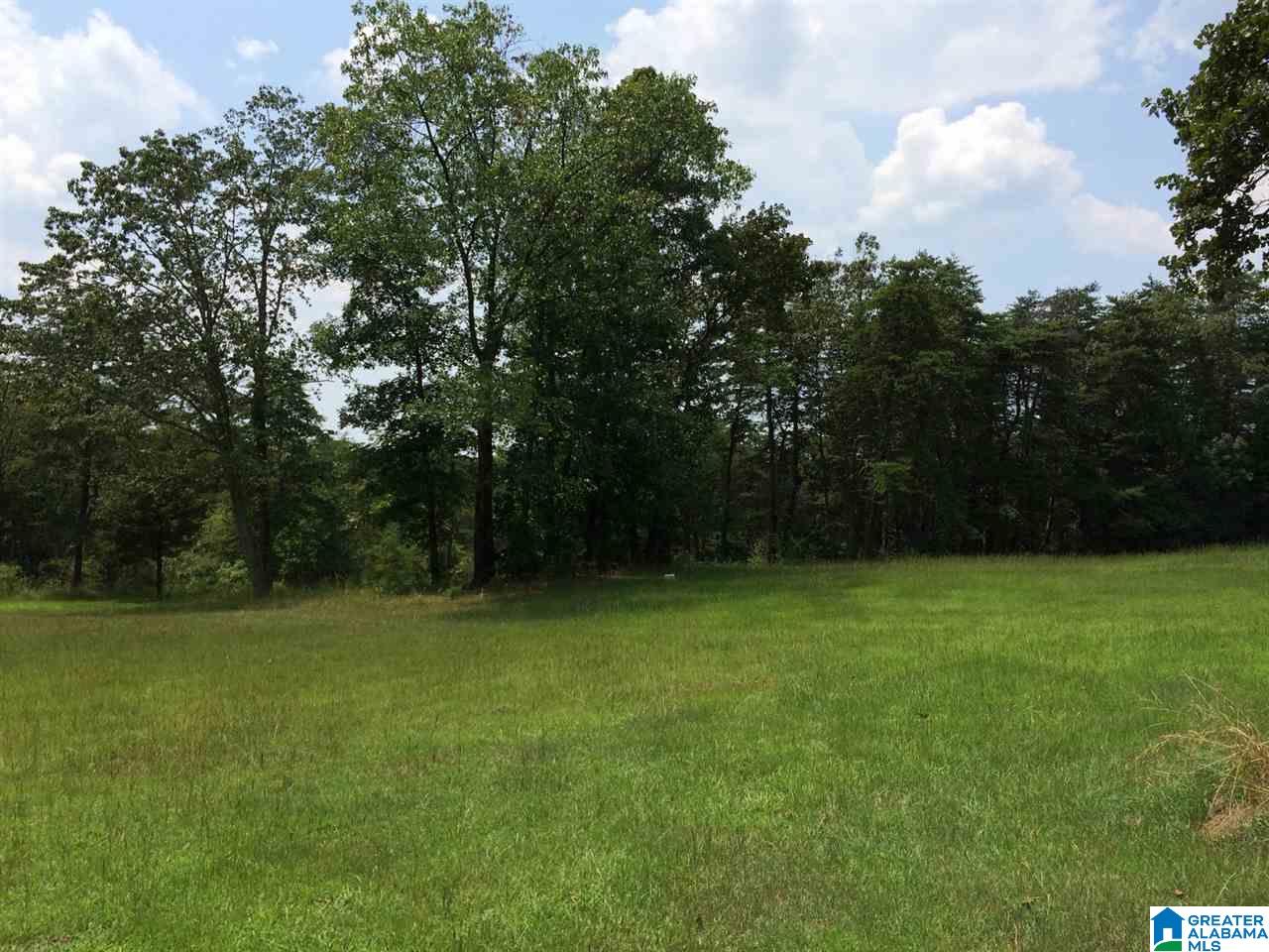 720 Mountain Ridge Road Oneonta, AL 35121 - Photo 8 of 47