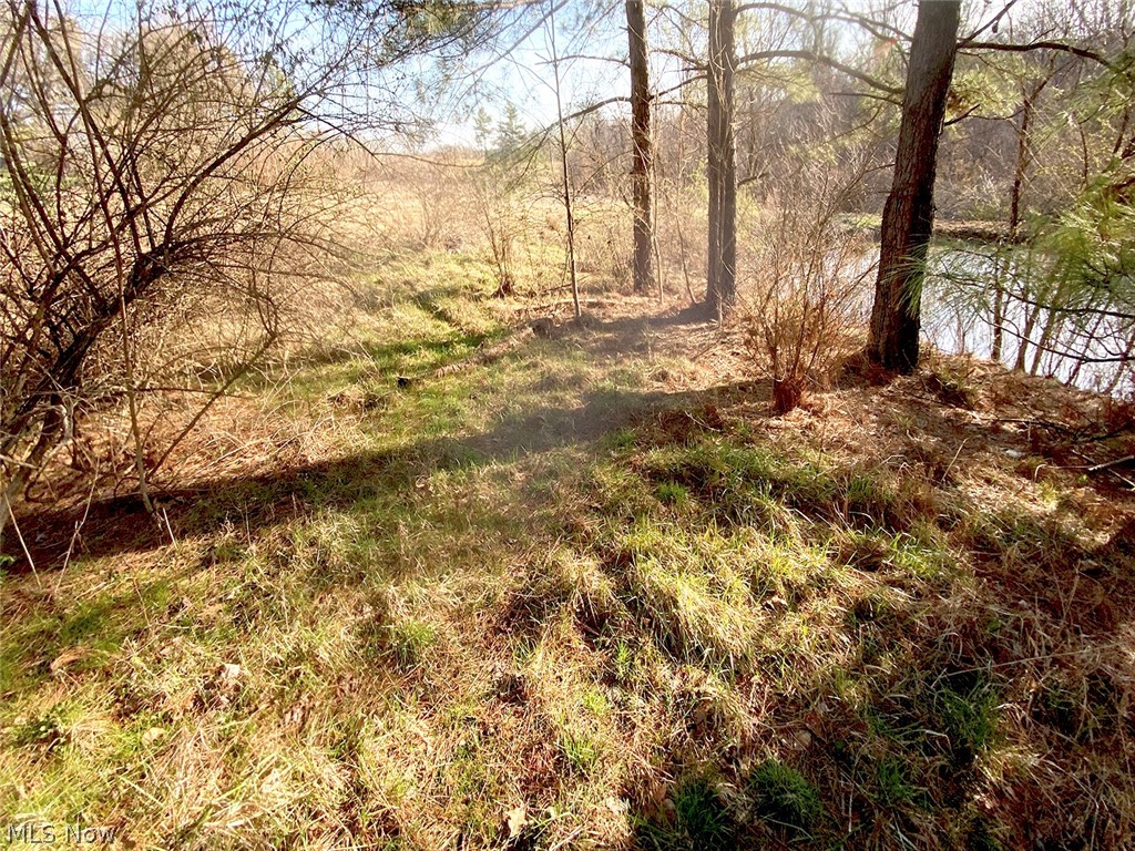 0 Twp Road Dexter City, OH 45727 - Photo 5 of 26