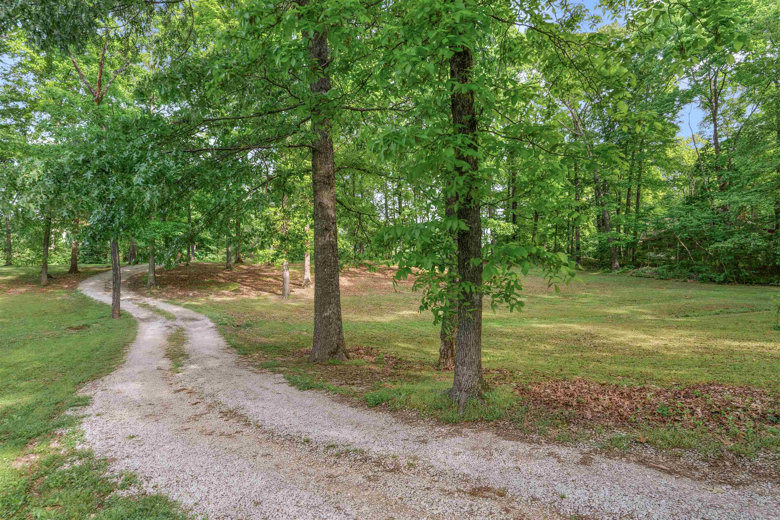 4020 Price Road Moscow, TN 38057 - Photo 6 of 35 View of road