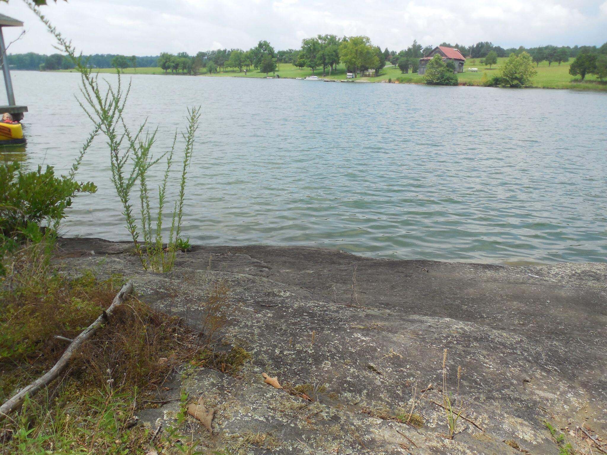 Lot 25 Dudley Amos Road Moneta, VA 24121 - Photo 8 of 19 image.jpg