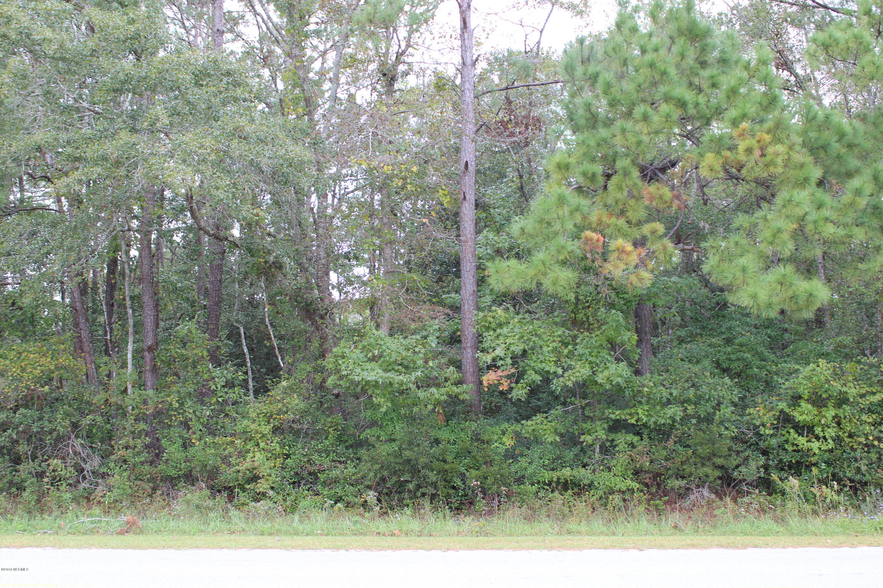 475 Gray Bridge Road Southwest Shallotte, NC 28470 - Photo 5 of 29 021