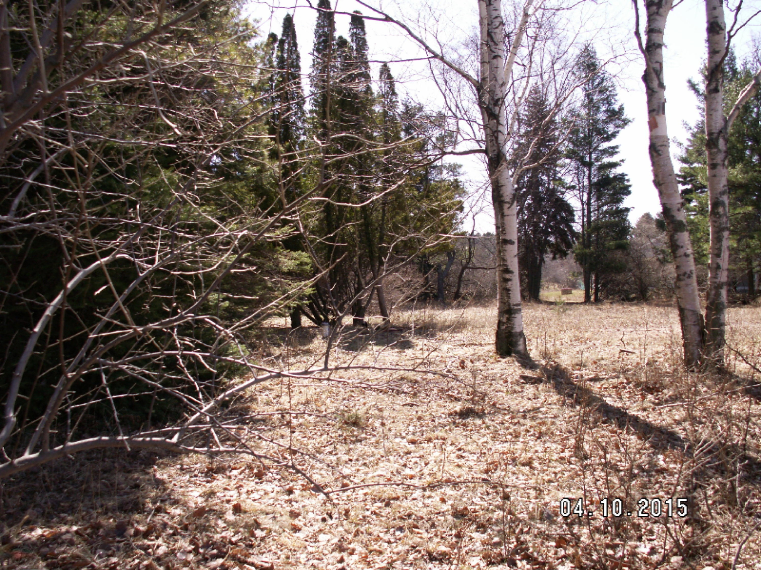 Red Apple Road, Unit 13 Manistee, MI 49660 - Photo 33 of 48 PICT0196