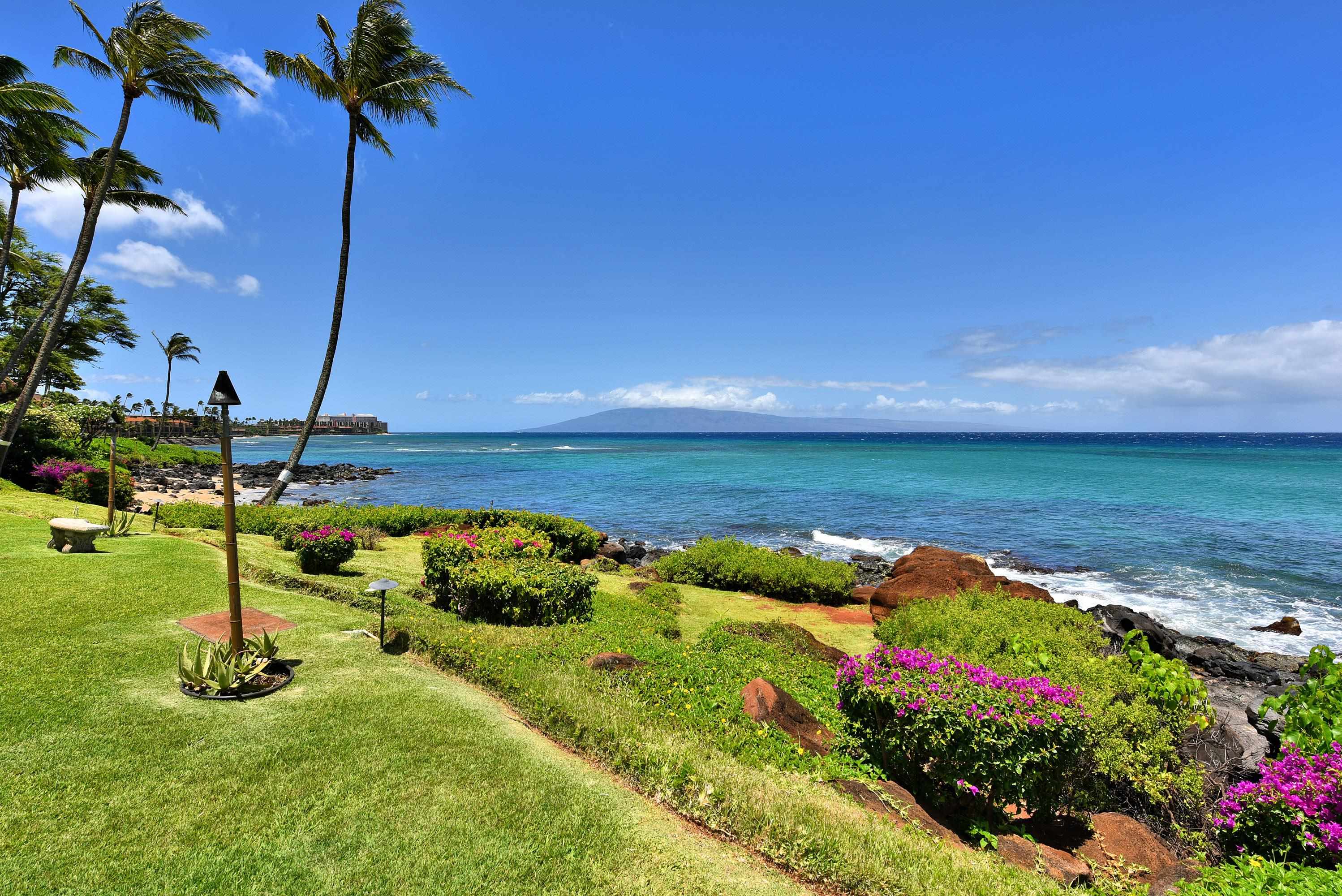 3975 Lower Honoapiilani Road, Unit 204 Lahaina, HI 96761 - Photo 36 of 50 Gallery Image 36