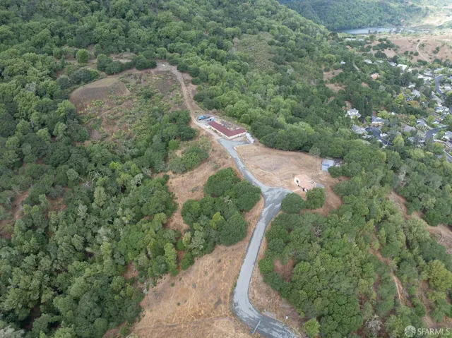a view of a forest with a street
