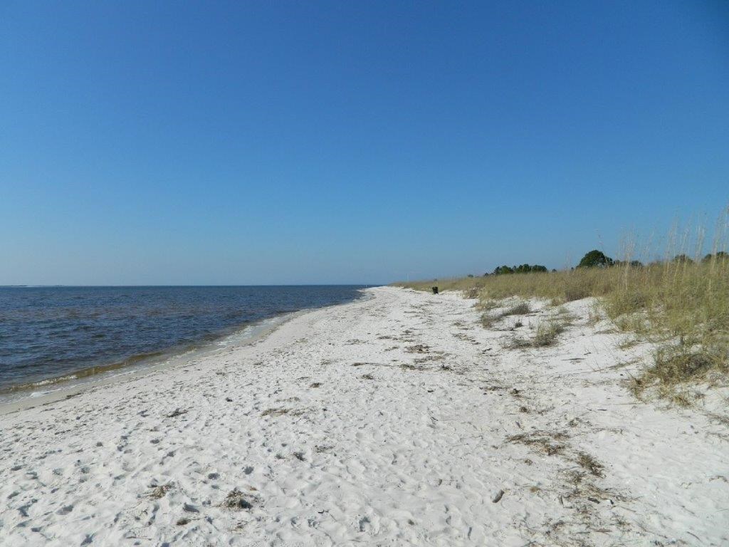876 Backwater Road Port St. Joe, FL 32456 - Photo 53 of 59 Gallery Image 53